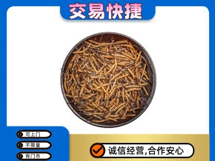 仙桃市回收散虫草